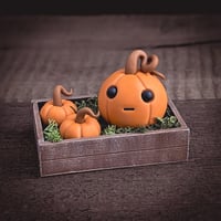 Image 3 of Pumpkin crate