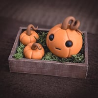 Image 1 of Pumpkin crate