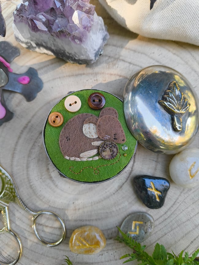 Boîte Buhtton la Souris