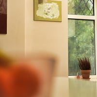 Image 3 of Pistachio