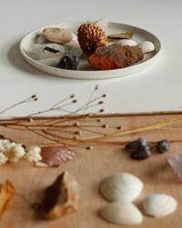 Image 10 of Moon Plate - Porcelain