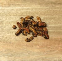 Image 2 of Moules séchées