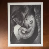 Image 2 of  Giclee print “Comfort” 2022