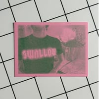 Image 1 of Swallow ROSE-  Carte Postale - RISO PRINT