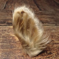 Image 3 of Oreille de bœuf avec fourrure XL