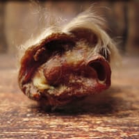 Image 2 of Oreille de bœuf avec fourrure XL