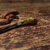 Image 2 of Nerf d'agneau