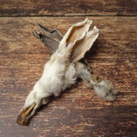 Image 1 of Oreilles de lapin (duo) avec fourrure