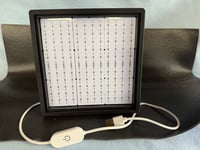 Image 3 of Dragon Bas Relief Lithophane