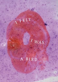I Felt I Was a Bird – Joshua Bilton