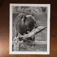 Image 2 of  Giclee print “Catch of the day”  2022