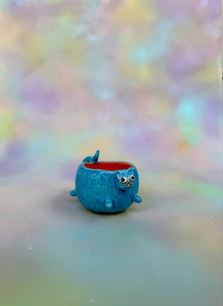 Image of chonky kitty mugs