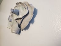 Image 3 of Flaps of grays