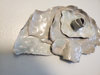 Image 2 of Flaps of grays