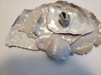 Image 1 of Flaps of grays
