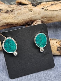 Image 4 of Tidal Pool Studs 