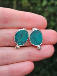 Image 5 of Tidal Pool Studs 