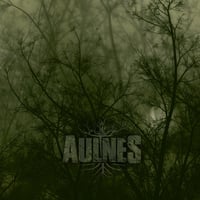 Image 1 of Aulnes "S/T" CD