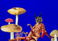 Image 1 of She's a FashionabOWL Lady - 5x7 Matte Giclee Print - Mushroom Collage - Anthropomorphic Art - Owl 