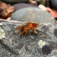 Image 1 of Tiny Enamel Pin - Fruit Fly