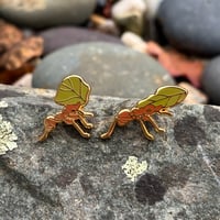 Tiny Enamel Pin Set - Leafcutter Ants