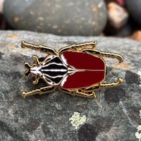 Goliath Beetle Enamel Pin