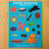 Creatures of the Intertidal Zone Sticker Sheet