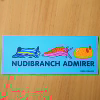 Nudibranch Admirer BUMPER Sticker