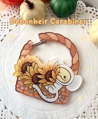 Image 2 of New Carabiners!