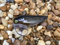 Image 4 of SPEEDBAITS Custom Airbrushed Topwater CICADA 1772
