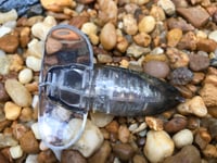 Image 8 of SPEEDBAITS Custom Airbrushed Topwater CICADA 1772