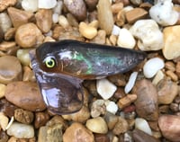 Image 1 of Custom Airbrushed Topwater CICADA 3634