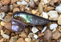 Image 3 of Custom Airbrushed Topwater CICADA 3634