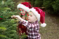Image 1 of Holiday Mini  - Nov. 1st  4:20-4:40 Saturday