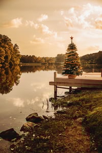 Christmas Dock Minis Nov 15th