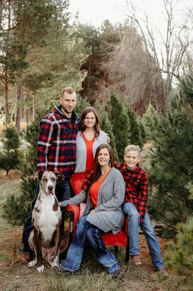 Image of November 29th - Tree Farm Mini Session - Crow River Nursery