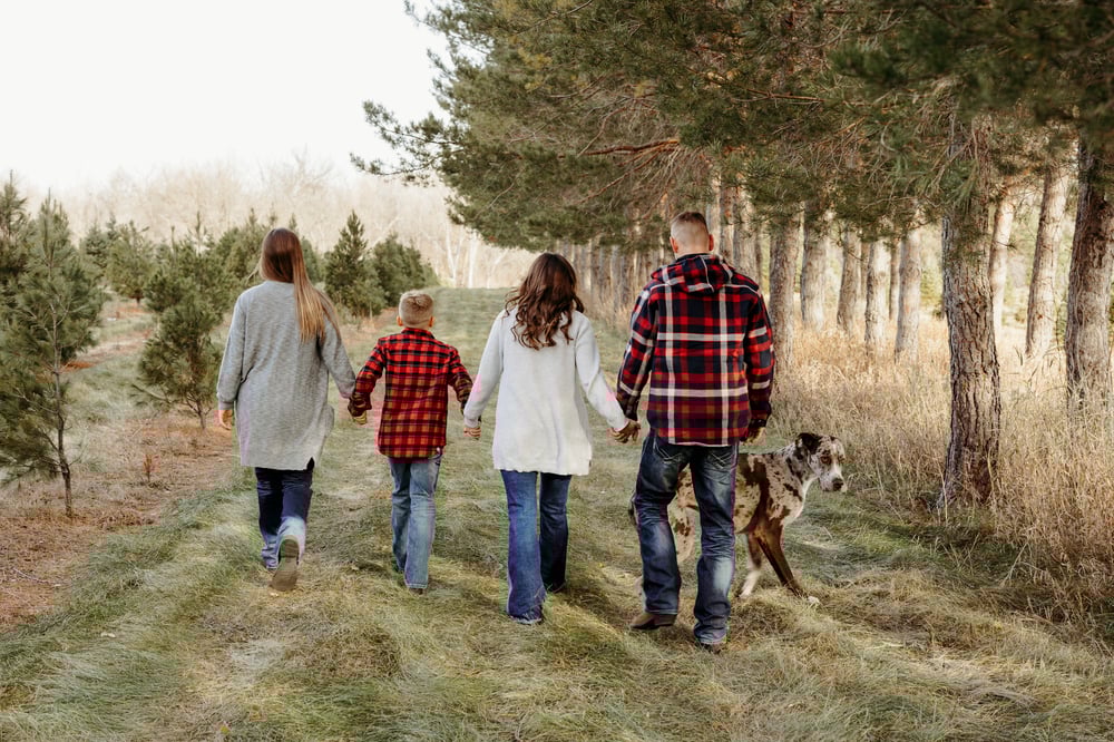Image of November 29th - Tree Farm Mini Session - Crow River Nursery