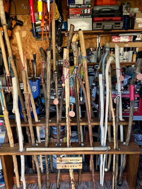 Image of Walking Styx