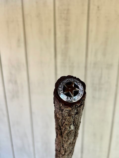 Image of Walking Styx