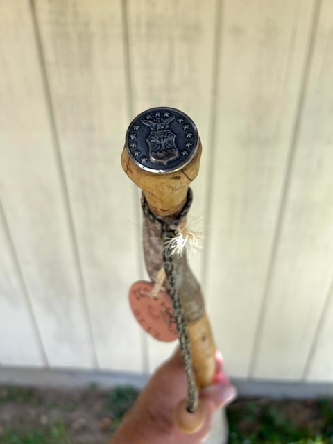 Image of Walking Styx