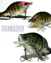 TS SWIMBAIT LOT