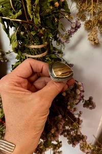Image 3 of The Canyon Ring Cripple Creek Jasper Sterling Silver