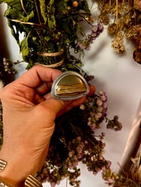 Image 1 of The Canyon Ring Cripple Creek Jasper Sterling Silver