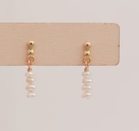 Image 2 of Earrings No.437