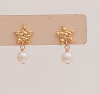 Image 3 of Earrings No.433