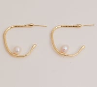 Image 2 of Earrings No.422