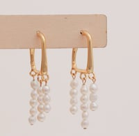 Earrings No.411