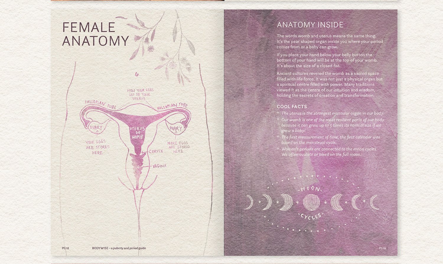 BODYWISE BOOK | Wild Creative Australia