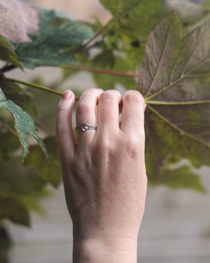 Image of Platinum, 4.0mm white Rose-cut diamond faceted ring (LON228)