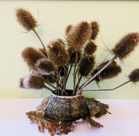 Image 1 of Elipse vase - various designs and colours